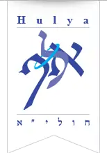 ארגון "חוליה"