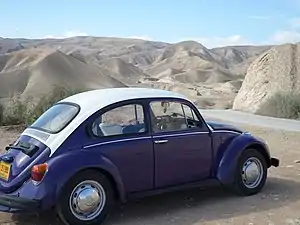 חיפושית הרכב האספנות הנפוץ בישראל