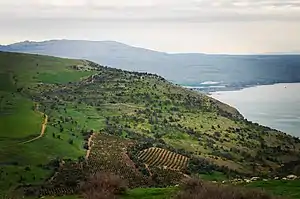 שדות על הארבל