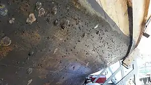 חלק מתחתית הספינה שנפגע מנזקי הים הטבעיים