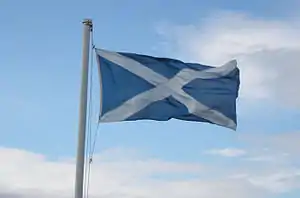  Flag with white diagonal cross on blue background flying from a pole