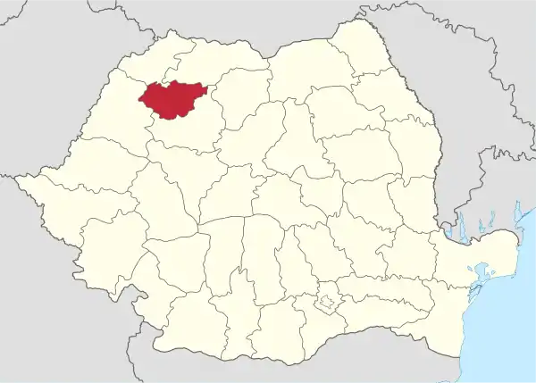 Salaj in Romania.svg